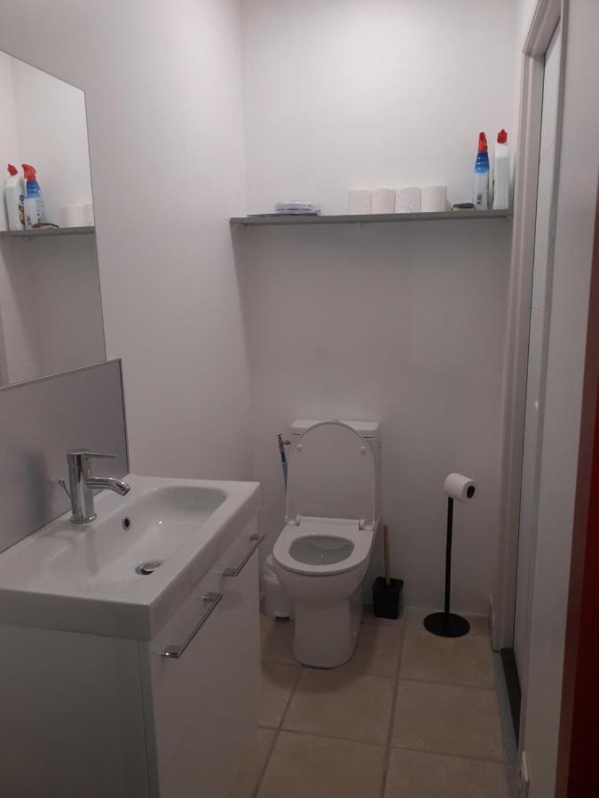 Dormir A Montauban Logements Carreyrat Calme Et Verdoyant Экстерьер фото